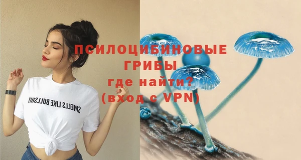 винт Белокуриха
