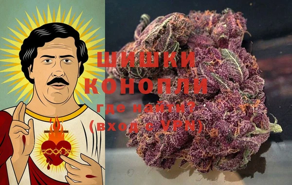 винт Белокуриха