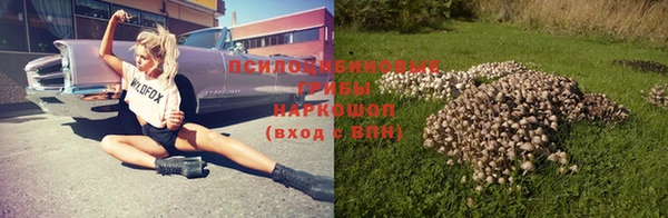 ПСИЛОЦИБИНОВЫЕ ГРИБЫ Беломорск