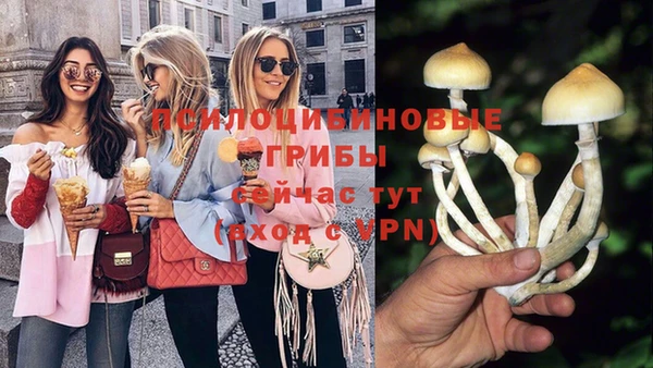 винт Белокуриха